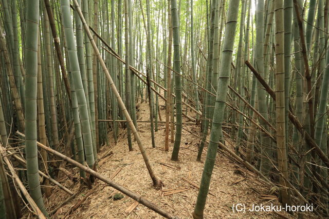 伊賀 北村氏館の写真