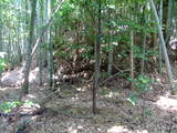 伊賀 前山城の写真