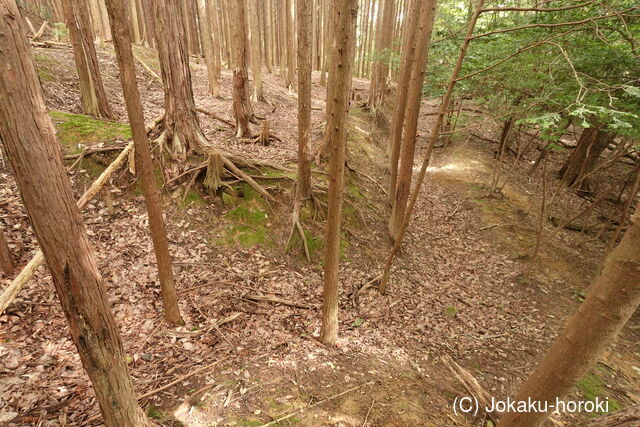 伊賀 短野城の写真