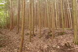 伊賀 短野城の写真