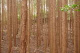 伊賀 短野城の写真