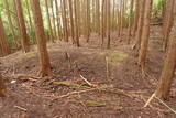 伊賀 短野城の写真