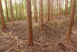 伊賀 短野城の写真