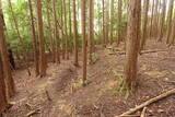 伊賀 短野城の写真