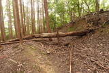 伊賀 短野城の写真