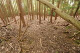 伊賀 短野城の写真