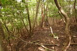 伊賀 短野城の写真