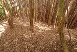伊賀 短野城の写真