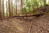 伊賀 短野城の写真