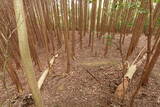 伊賀 短野城の写真