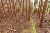 伊賀 短野城の写真