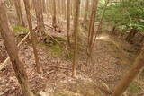 伊賀 短野城の写真