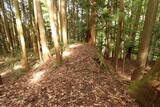 伊賀 諸木氏城の写真