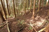 伊賀 諸木氏城の写真