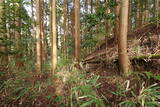 伊賀 諸木氏城の写真