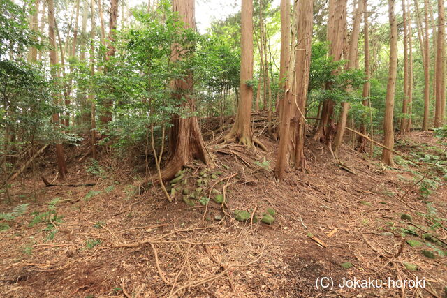 伊賀 中出山城の写真