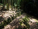 伊賀 岡島氏城の写真