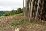 伊賀 境目砦の写真