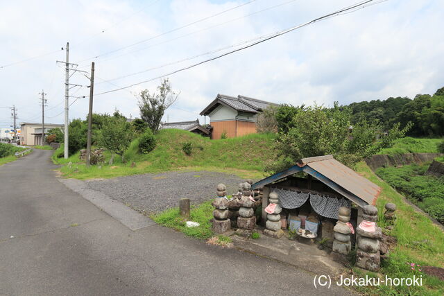 伊賀 沢氏東館の写真