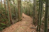 伊賀 丸山城(下神戸)の写真