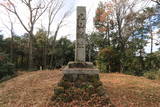 伊賀 丸山城(下神戸)の写真