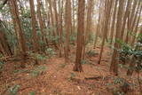 伊賀 丸山城(下神戸)の写真