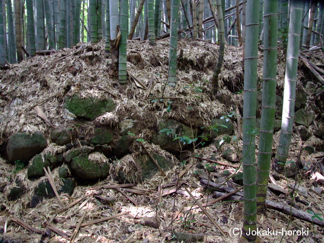 伊賀 田矢伊予守城の写真