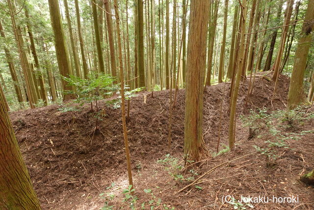 伊賀 山下氏城の写真