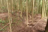 伊賀 山下氏城の写真