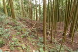 伊賀 山下氏城の写真