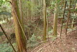 伊賀 山下氏城の写真