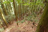 伊賀 山下氏城の写真