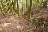 伊賀 山下氏城の写真
