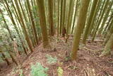 伊賀 山下氏城の写真