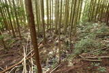 伊賀 山下氏城の写真