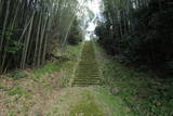 壱岐 鉢形城の写真