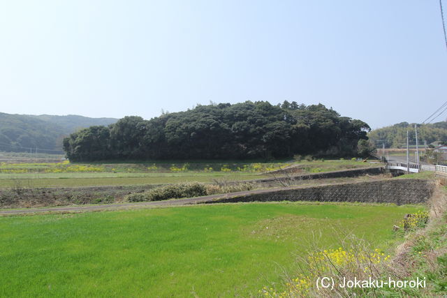 壱岐 樋詰城の写真