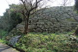 壱岐 勝本城の写真