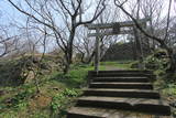壱岐 勝本城の写真