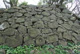 壱岐 勝本城の写真