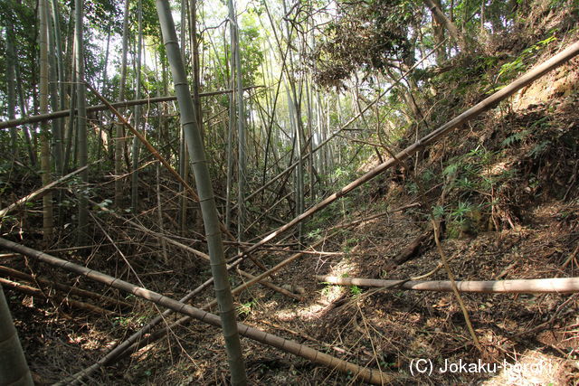 壱岐 高津城の写真