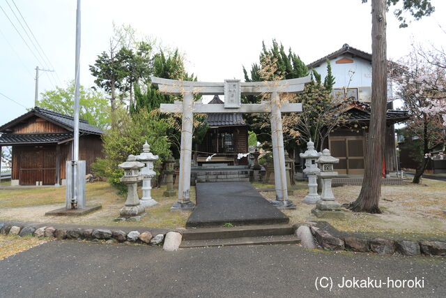 因幡 秋里城の写真