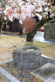 因幡 秋里城の写真
