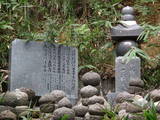 因幡 道竹城の写真