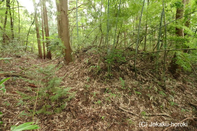 因幡 飛田砦の写真