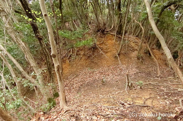 因幡 蛇山城(福部町)の写真