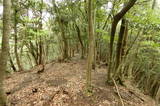 因幡 蛇山城(福部町)の写真