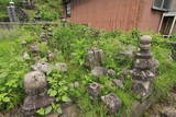 因幡 半滝城の写真