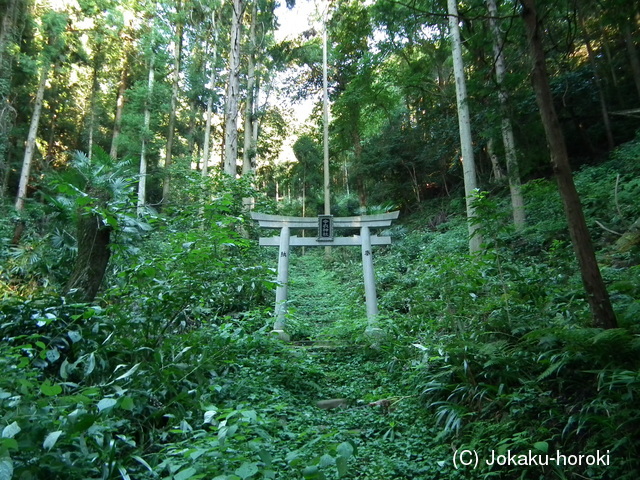 因幡 今衣山城の写真