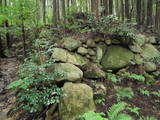 因幡 景石城磯部氏館の写真